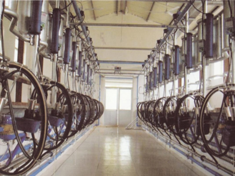 電子計(jì)量魚骨自動(dòng)脫杯式